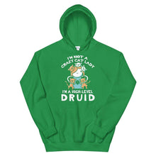 Load image into Gallery viewer, Cat Lady Druid Hoodie - Nat 21 Workshop