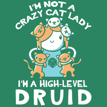 Load image into Gallery viewer, Cat Lady Druid T-Shirt - Nat 21 Workshop