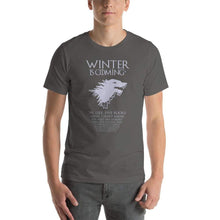 Load image into Gallery viewer, Winter Is Coming* Fine Print T-Shirt - Nat 21 Workshop