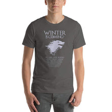 Load image into Gallery viewer, Winter Is Coming* Fine Print T-Shirt - Nat 21 Workshop
